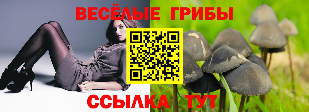 Псилоцибиновые грибы мухоморы Ревда